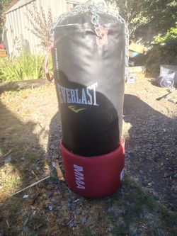 Everlast Heavy Punching Bag with Chains