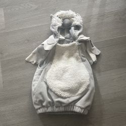 Owl Costume 