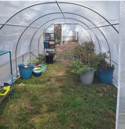 Greenhouse