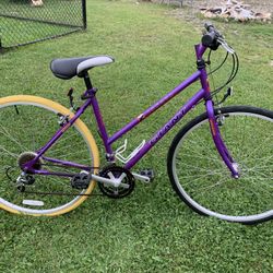 Giant Brand Bicycle 