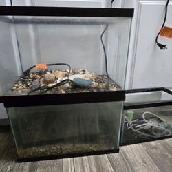 Fish Tanks For SALE Individually.   Make An Offer!