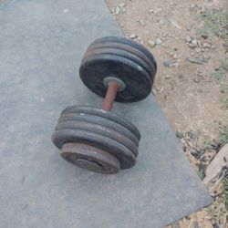 85lb Dumbbell