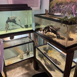 20g Fish Tanks And Stand 