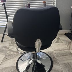 Salon Chair