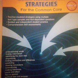 Targeting Comprehension  Strategies