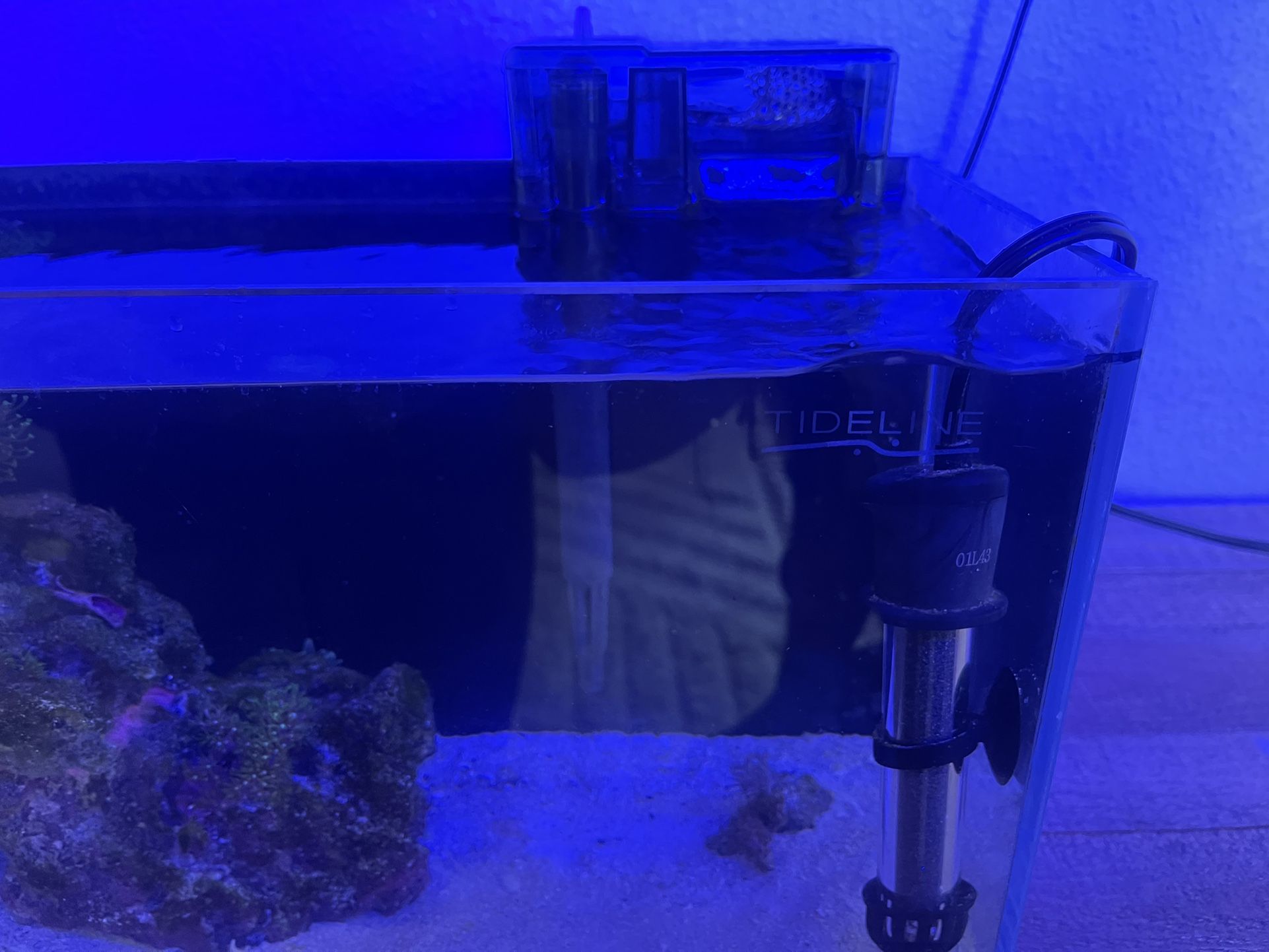Tideline Fish Tank 
