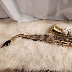 Alto Saxaphone AS300 Bundle 