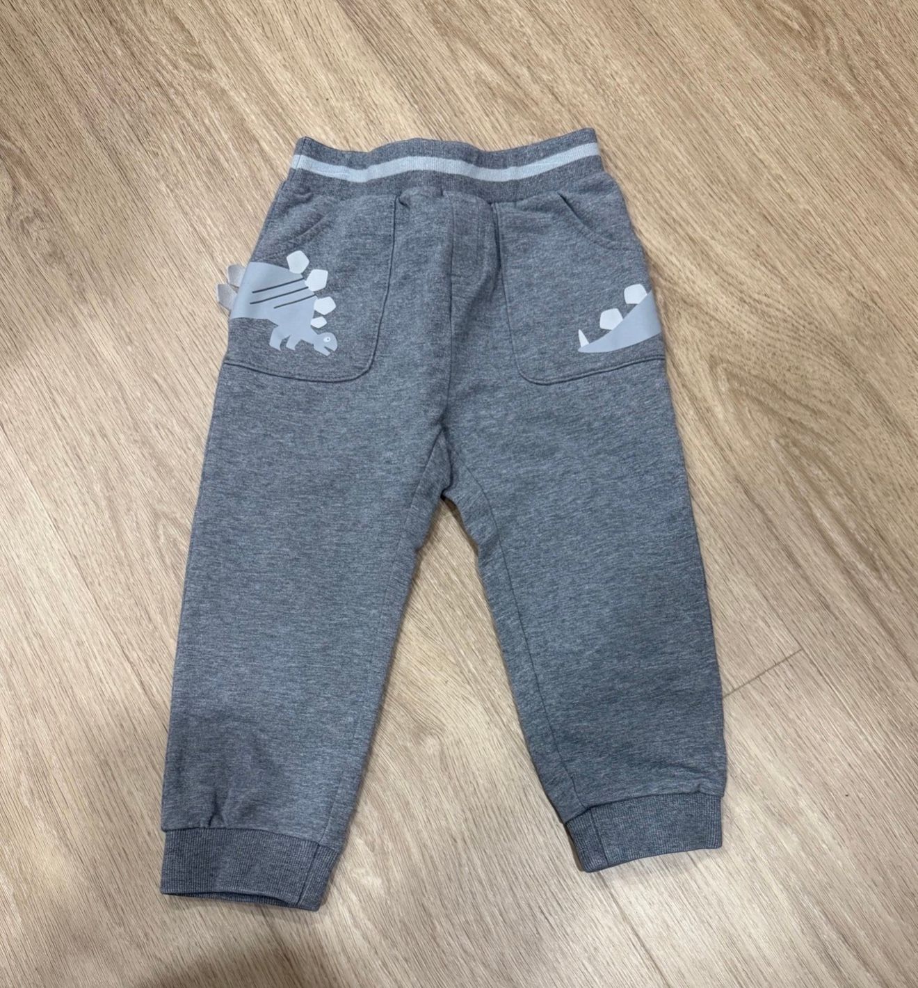 Gray Dinosaur Print Kids Joggers 2T