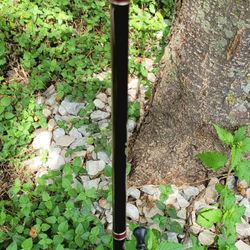 Fishing Rod And Reel