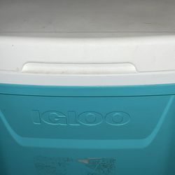 Igloo ice chest!