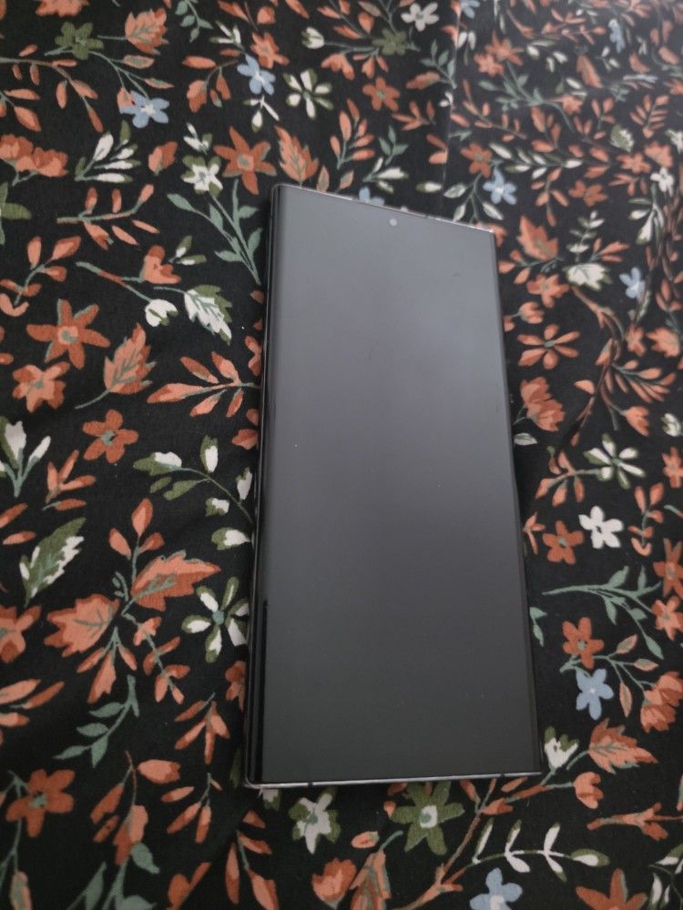Samsung S22 Ultra