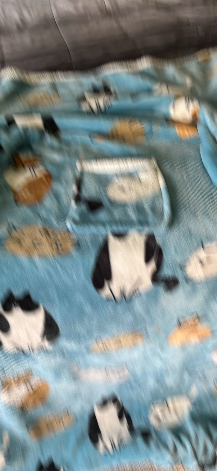 A Blanket With Arms And A Pocket