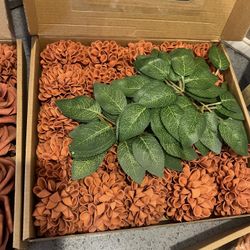 Autumn Color Flowers 