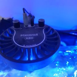 Kessil Lights