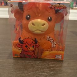 Highland Cow 