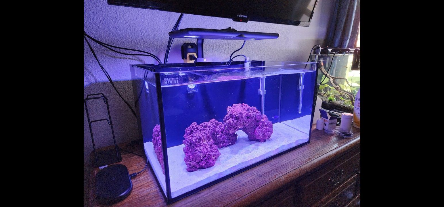 Salt Water Aquarium (Barely Used)