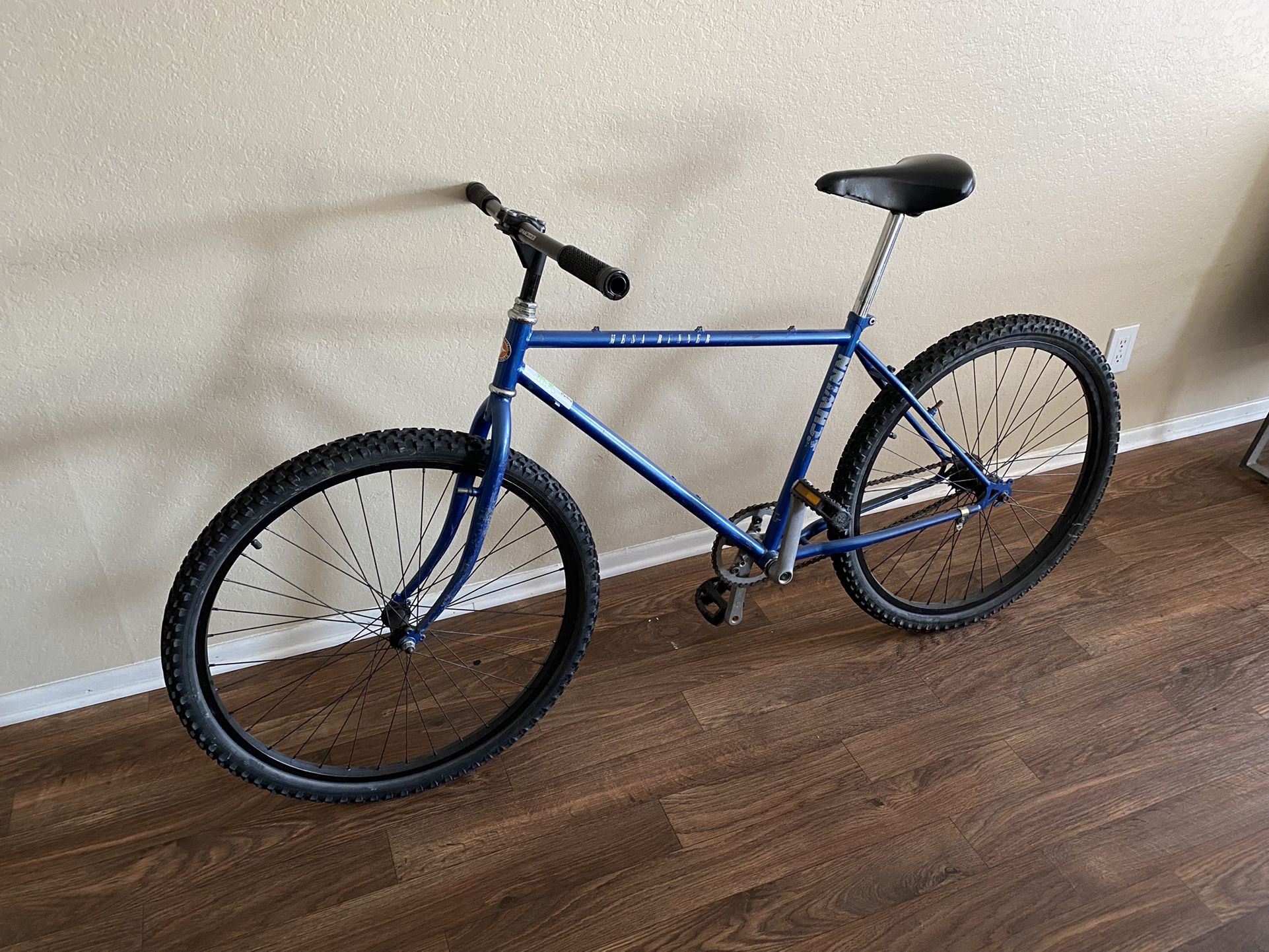 Vintage Schwinn Mesa Runner Single Speed Mountain Bike