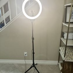 Ring Light Influencer Social Media Vlog Multiple Light Carrying Case Phone Holder Brand New With Box With Remote Original $34
