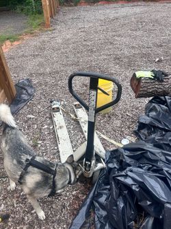 Pallet jack