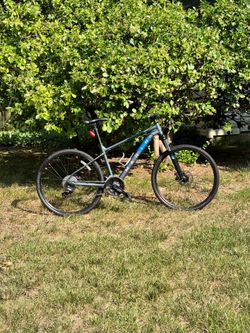 Bolinas Ridge 2