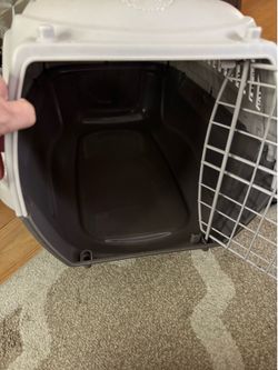 Cat carrier and supplies