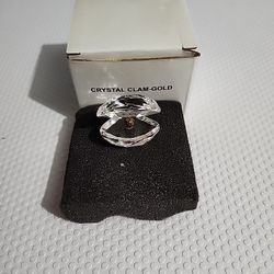 New Crystal Clam Gold