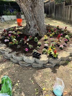Garden $