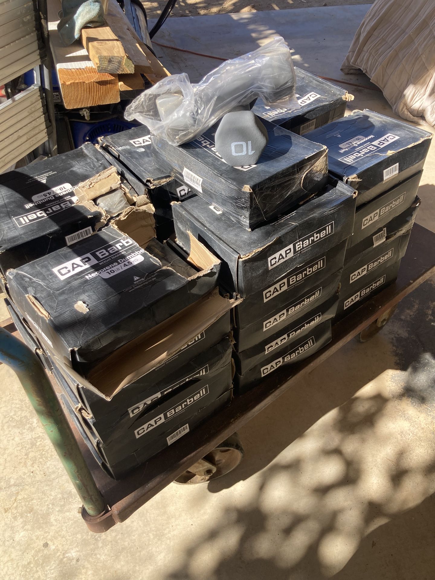 10 Pound Dumbbell Set