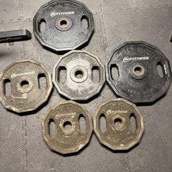 Olympic Plate Weights Iron Grip Brand 