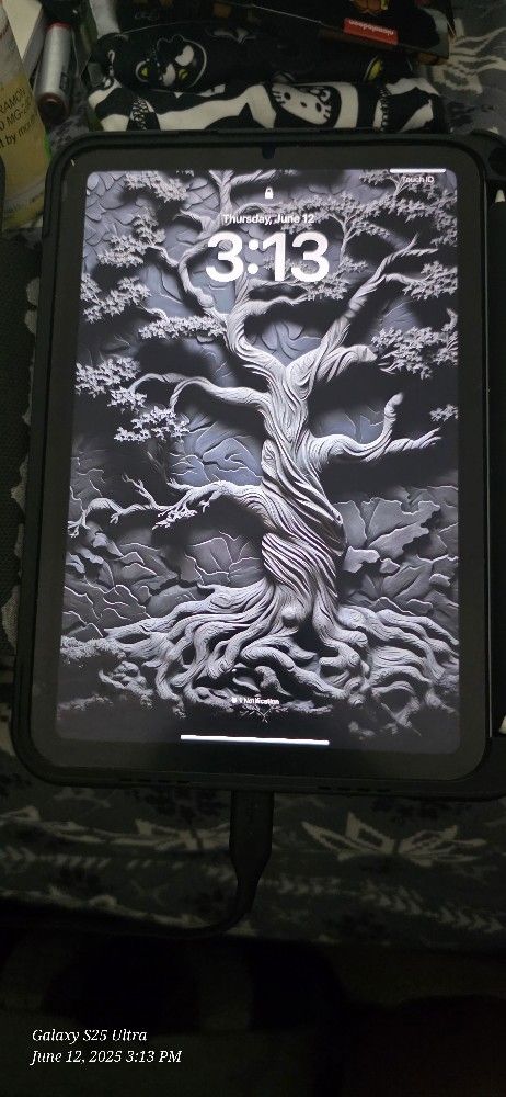 iPad mini 6