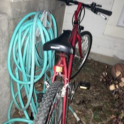 Giant bike