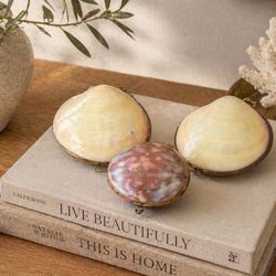 Vintage LOT 3- Seashell Coin Purse Hinged Pink Shell Trinket Pill Box Brass Clasp Collectibles 