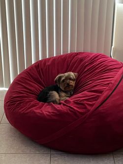 Large Dog Bed