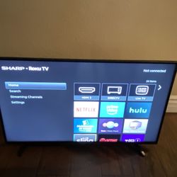 Roku Tv
