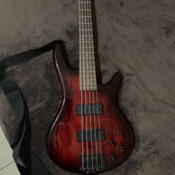5 String bass and amplifier 