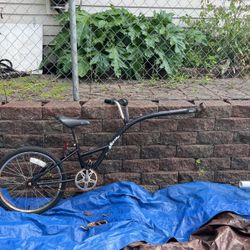 Bike Third Wheel