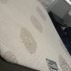Queen Matress With Box Spring