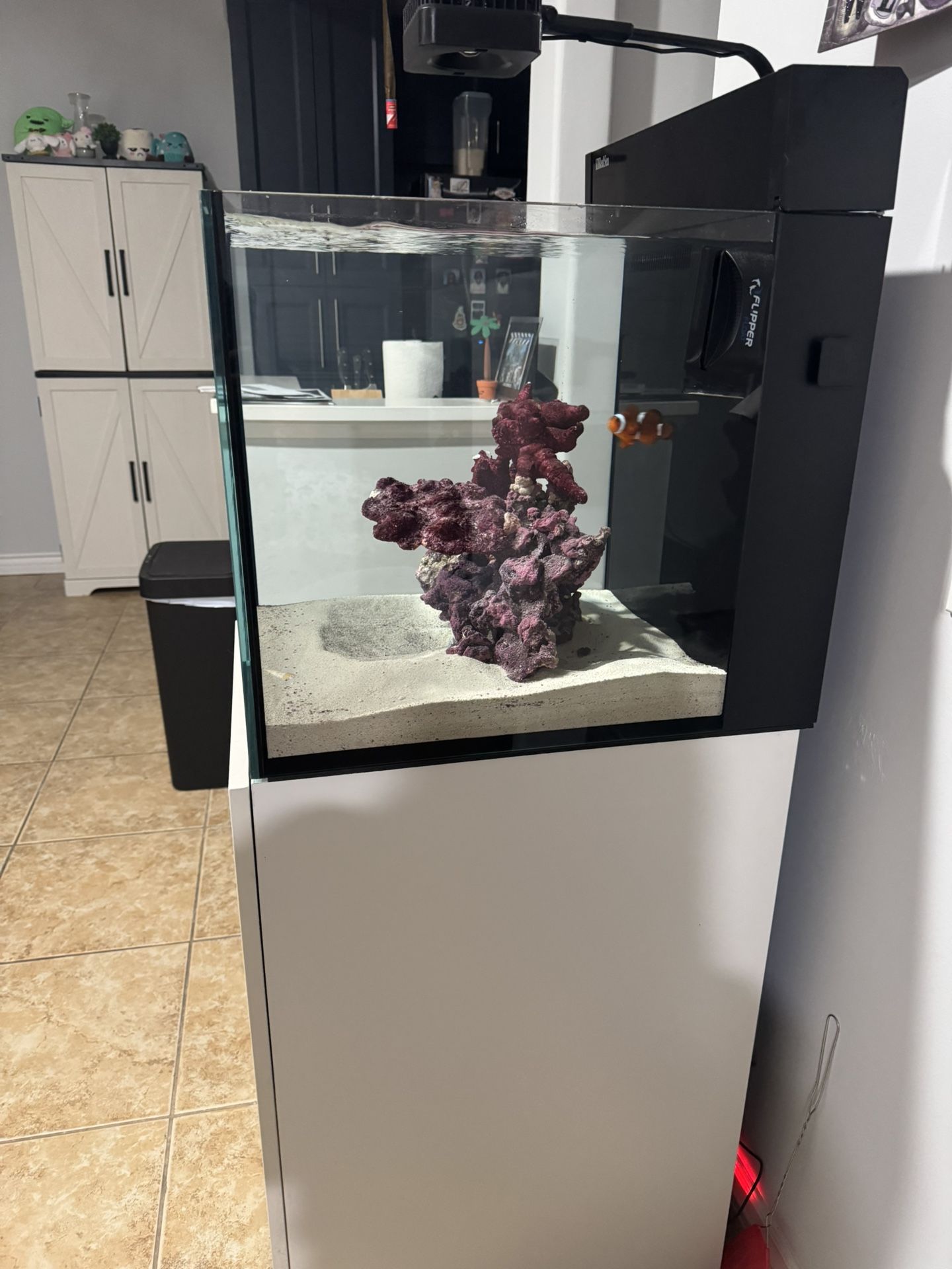 Red Sea 30 Gal Saltwater Aquarium