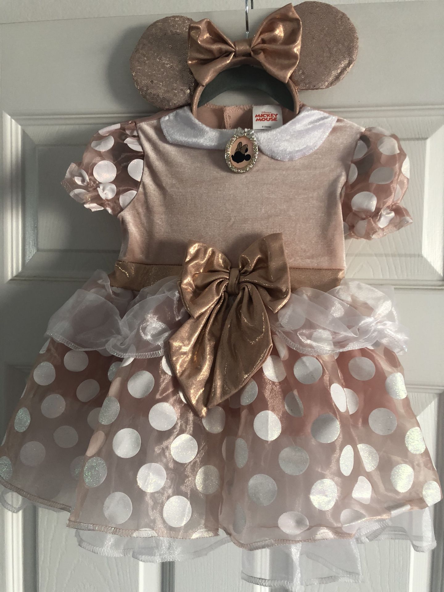 Rose Gold Minnie Mouse Costume with Ears