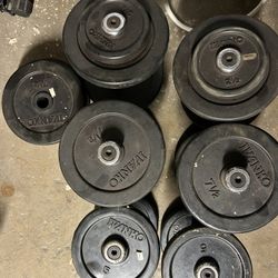 Dumbbell Free Weights