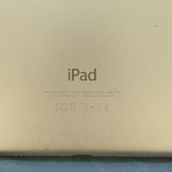 Mini iPad 2 & 4