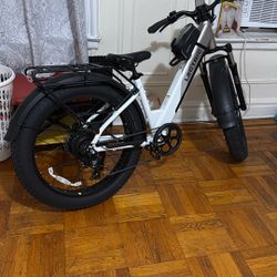 Electric Bike 