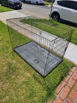 Dog kennel