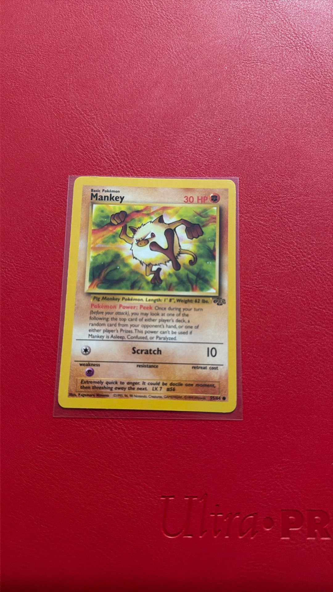 Vintage Pokemon Card