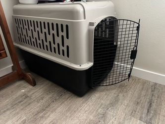 Large dog crate