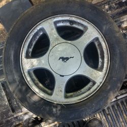 Mustang 16 inch Rims w/ Tires 225/55R16