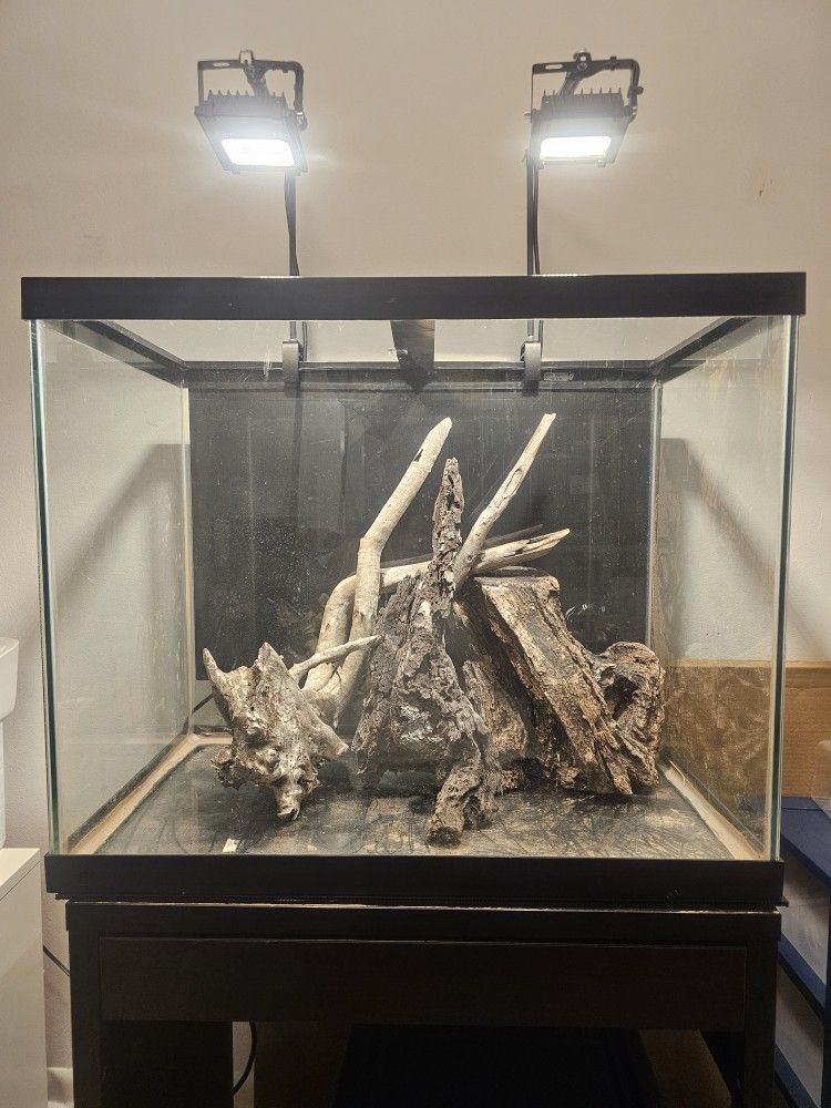 56 Gal, Fluval 407, 300w Heater, Full Spectrum Lighting