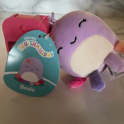 Key Chain/Backpack Pal