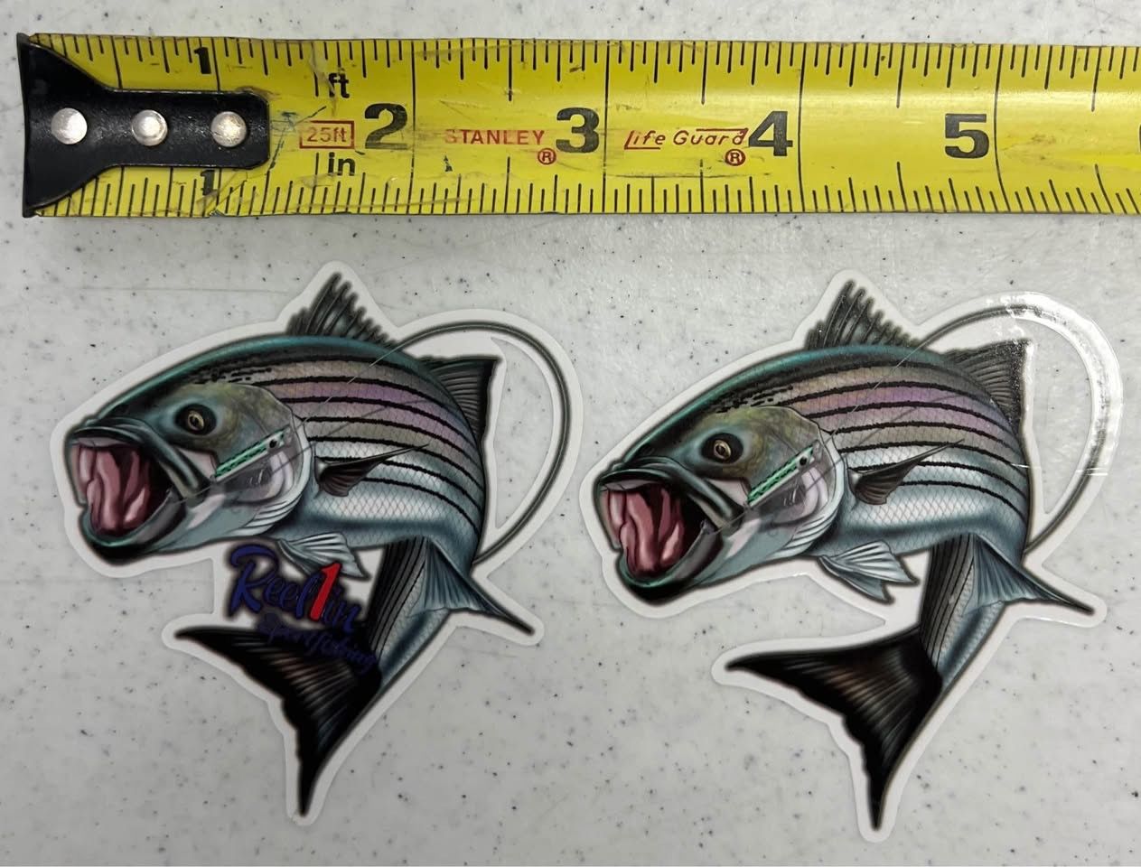 Boat Vehicle Tackle Box Inshore Fishing Fish Decals Stickers