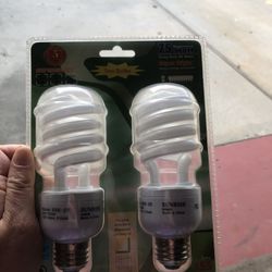 Light Bulbs 75 W Ok